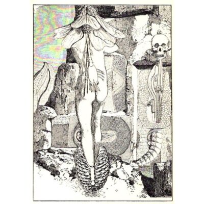Max Ernst. Aus Collagen-Roman Une Semaine de Bonté
