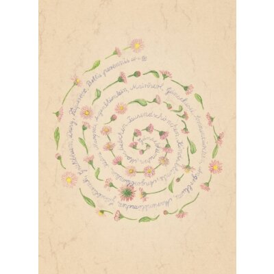 Anna Malten. Gänseblümchenspirale, ca 12 x 16 cm