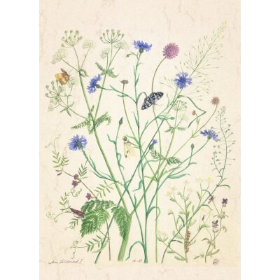 Anna Malten. Am Feldrand, ca 12 x 16 cm