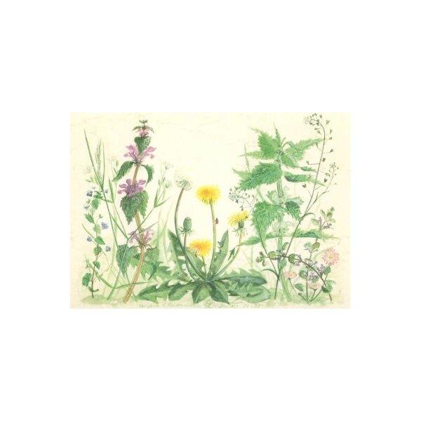 Anna Malten. Vor dem ersten Rasenmähen, 2007, ca 12 x 16 cm