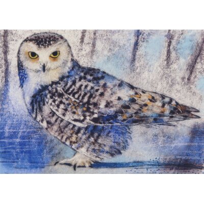 Loes Botman. Schnee-Eule