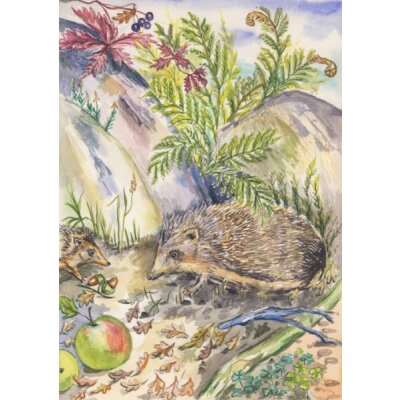 Anne C. Wenzel. Igel