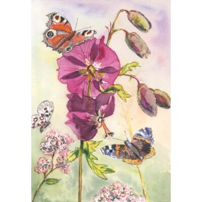 Anne C. Wenzel. Malve und Schmetterlinge