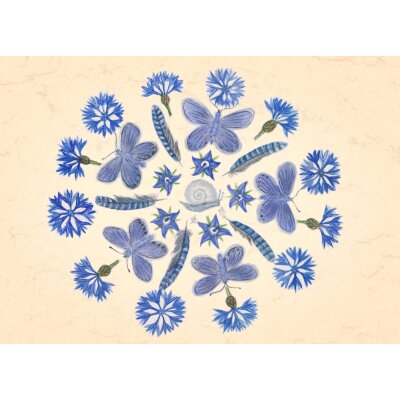 Anna Malten. Blaue Feder-Falter-Blüte