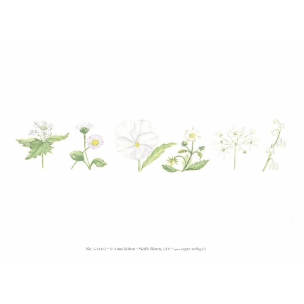 Anna Malten. Weiße Blüten, Kunstdruck A5
