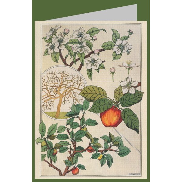 Maurice Pillard Verneuil. Apfelbaum, Früchte und Blüten,1900