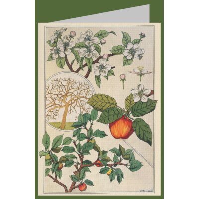 Maurice Pillard Verneuil. Apfelbaum, Früchte und Blüten,1900