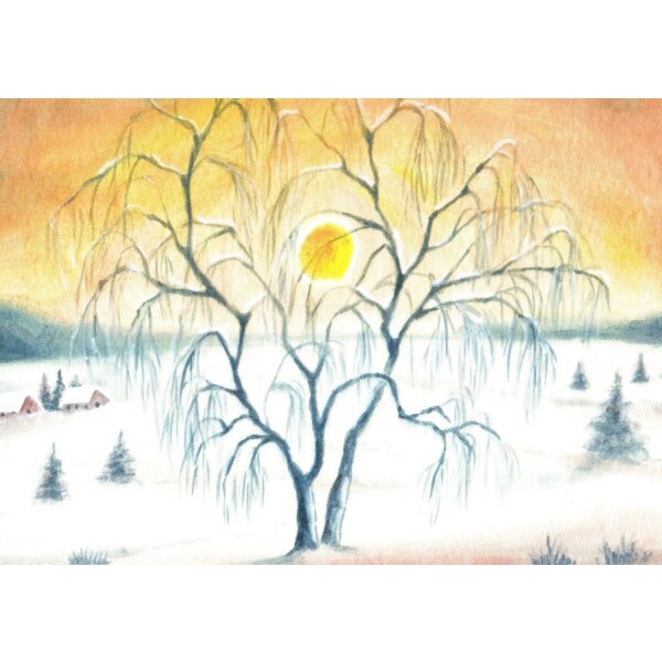 Erika Hoffmann. Trauerweide im Winter