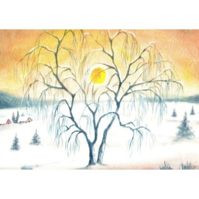 Erika Hoffmann. Trauerweide im Winter
