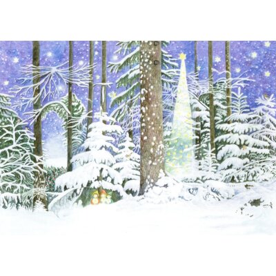 Elisabeth Heuberger. Wunder im Wald