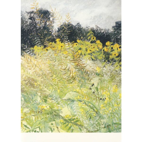 Juke Hudig. Sonnenblumenfeld