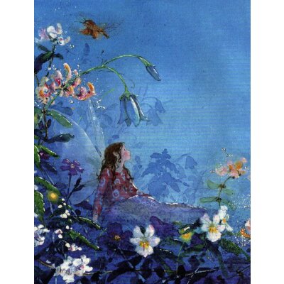 Daniela Drescher. "kleine Elfe" Druck ca. 42 x 42 cm