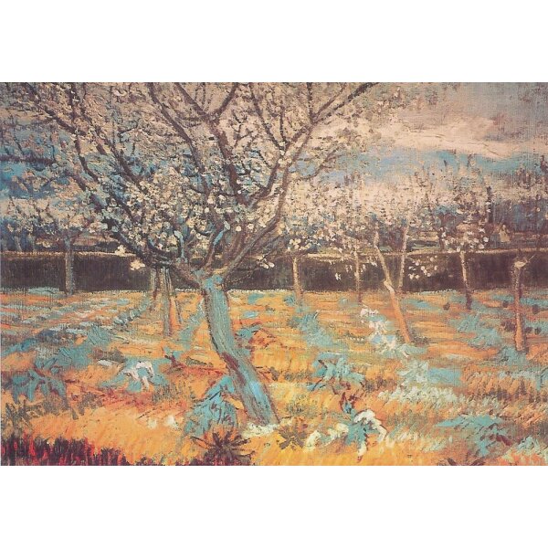 Vincent van Gogh. Blühender Obstgarten mit Aprikosenbaum, 1888