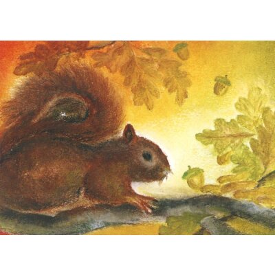 Baukje Exler. De eekhoorn. Das Eichhorn