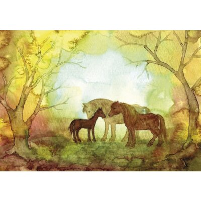 Anne Hunold.Ponyfamilie