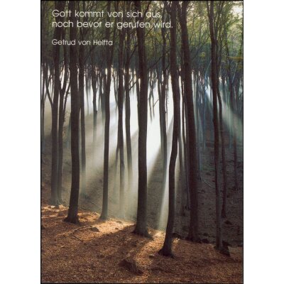 Oswald Kettenberger. Gott komm von sich aus....