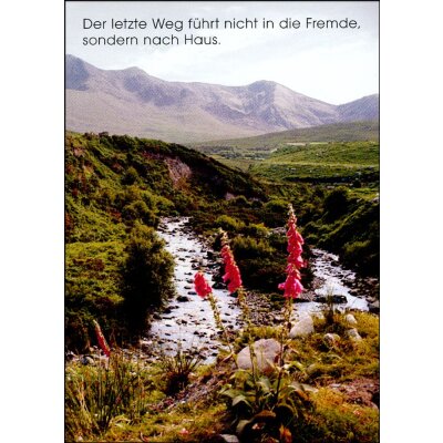 Oswald Kettenberger. Der letzte Weg führt nicht in...