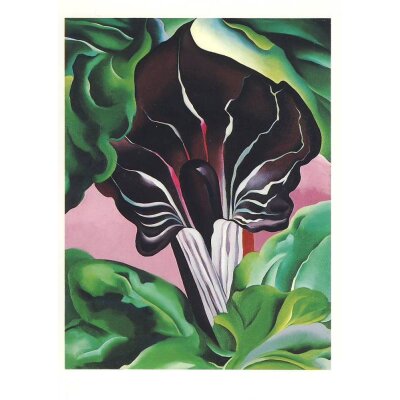 Georgia O´Keeffe. Jack-in-the-Pulpit No. II, 1930