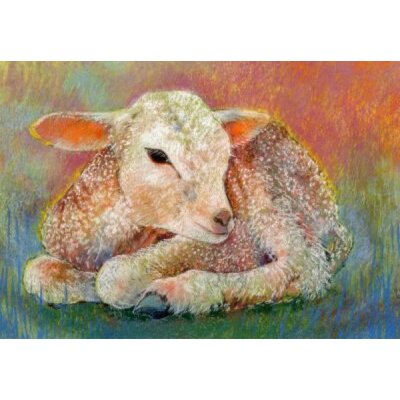 Loes Botman. Lamm
