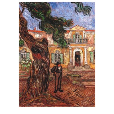 Vincent van Gogh. Das Asylheim in Saint-Rémy