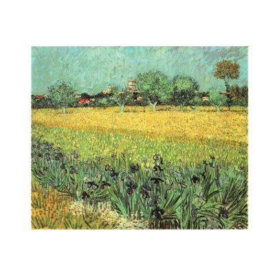 Vincent van Gogh. Blick nach Arles mit Schwertlilien, 1888