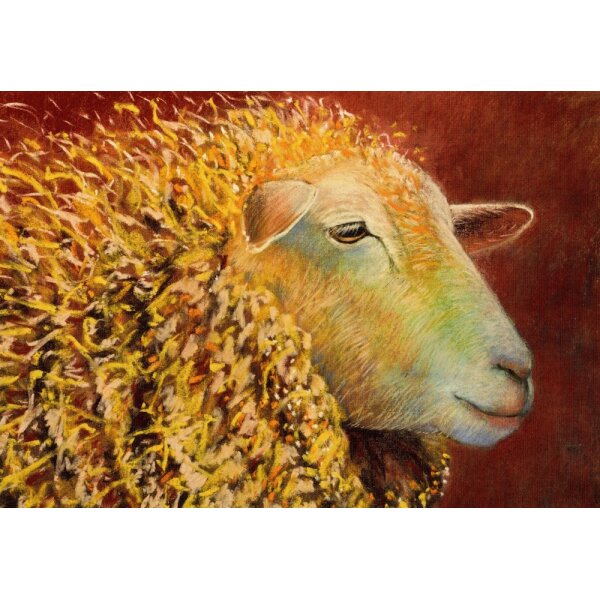 Loes Botman. Schaf