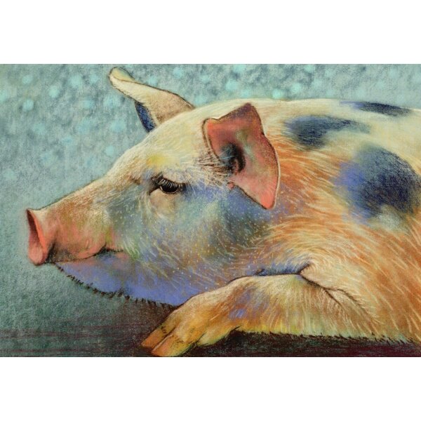 Loes Botman. Liegendes Schwein