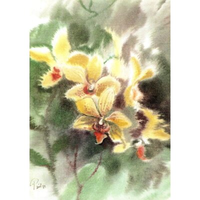 Wolfram Paul. Orchidee, 1985