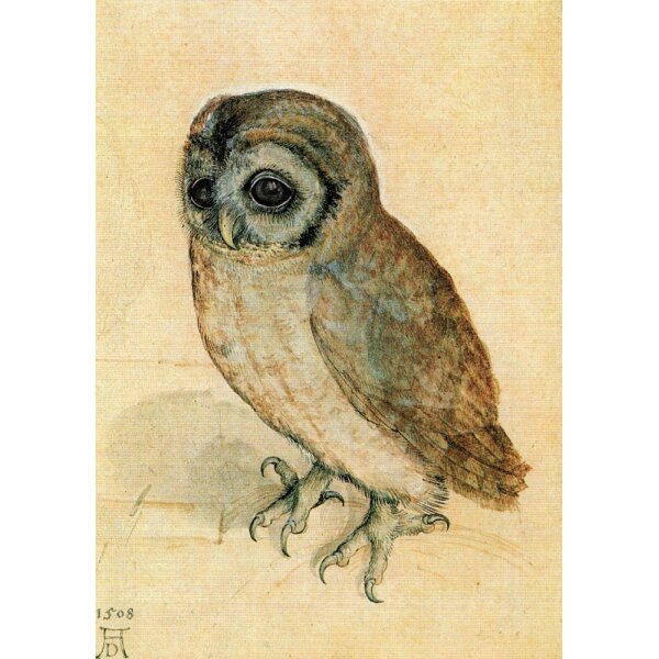 Albrecht Dürer. Das Käuzchen