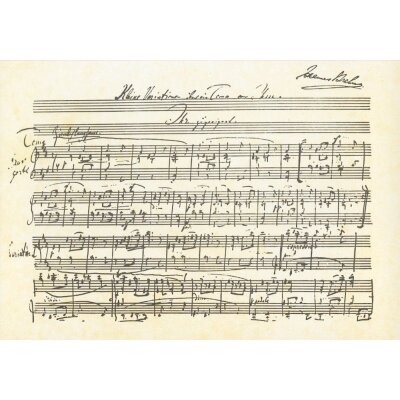 Johannes Brahms. Kleine Variationen über ein Thema