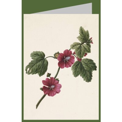 M. de Gijselaar. Zweig mit lila Blüten, 1830