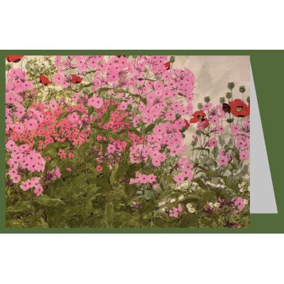 Linda Benton. Rosa Phlox und Mohnblumen mit/Schmetterling