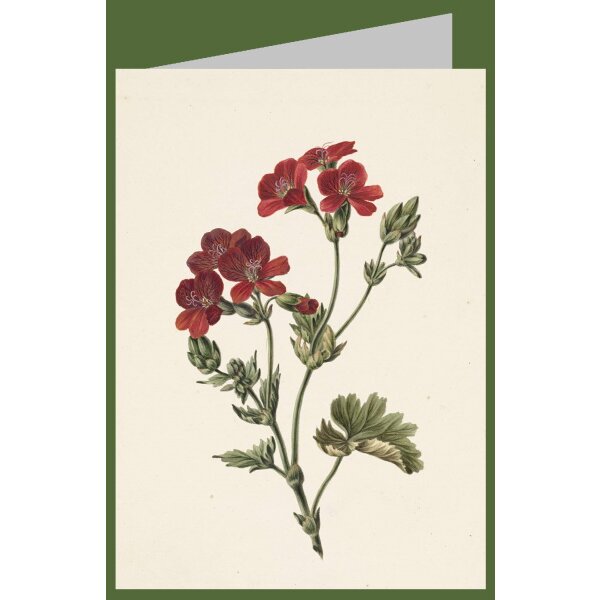 M. de Gijselaar. Ritt Bloem, 1830