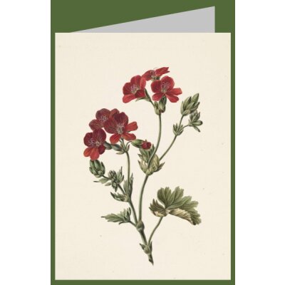 M. de Gijselaar. Ritt Bloem, 1830