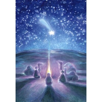 Weihnachtsstern von Marie-Laure. Viriot