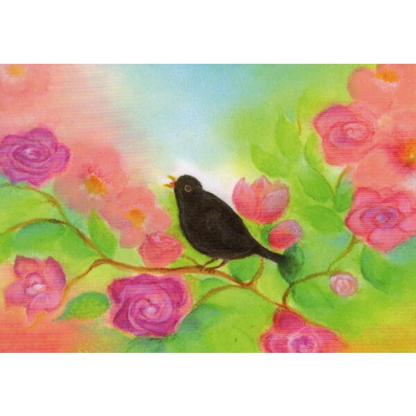 Baukje Exler. Amsel