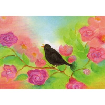 Baukje Exler. Amsel