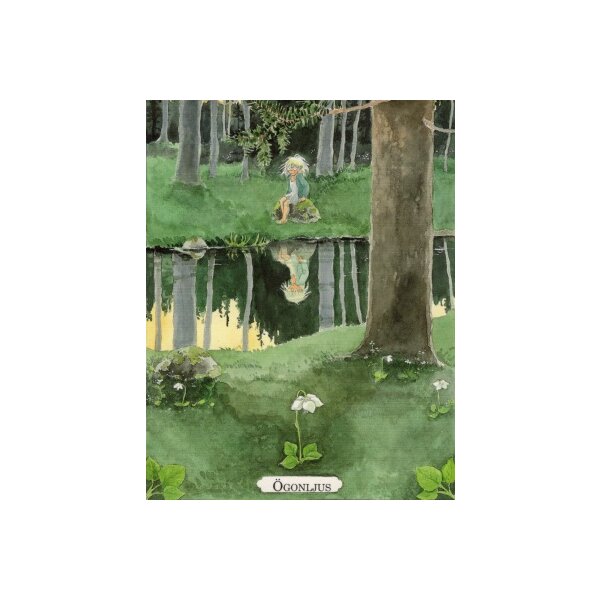 Lena Anderson. Spiegelbild