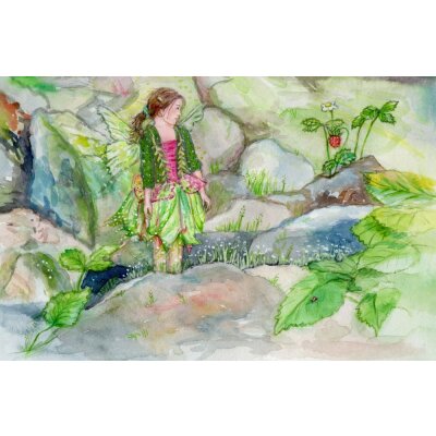 Anne C. Wenzel. Im Elfenland