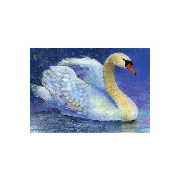Loes Botman. Schwan