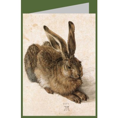Albrecht Dürer. Junger Feldhase, 1502