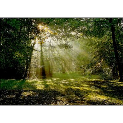 Ludger Kruthoff. Morgenstimmung. Foto DK