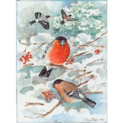 Björk, Ingvar. Vögel im Winter