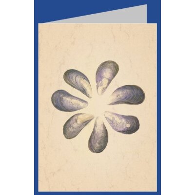 Anna Malten (Lübsee). Muschelblüte, 2012