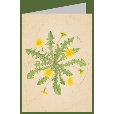 Anna Malten. Sieh, es blühen Sterne unter deinen...