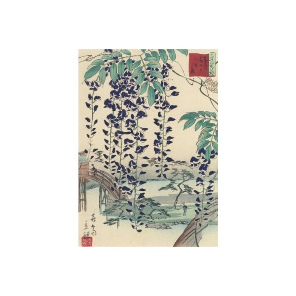 Utagawa Hiroshige. Blauregen (Glyzinie), 1866