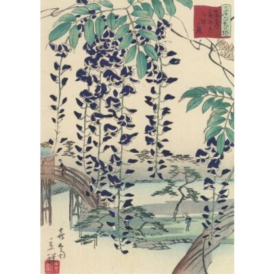 Utagawa Hiroshige. Blauregen (Glyzinie), 1866