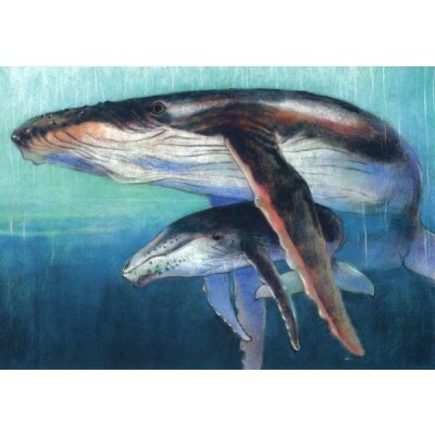 Loes Botman. Wal mit Walbaby