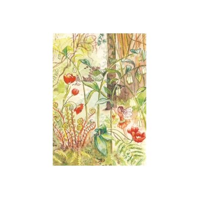 Anne C. Wenzel. Elfenwald, KD - DIN-A4