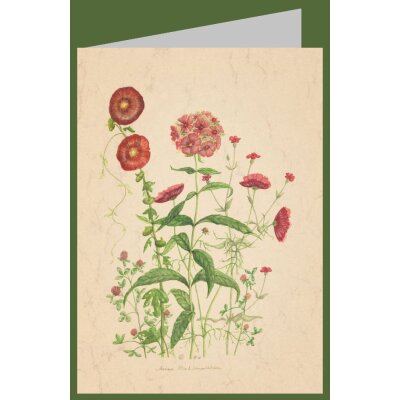 Anna Malten. Stockrose, Phlex & Schuckkörbchen,...